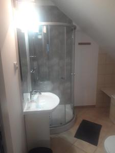 a bathroom with a shower and a white sink at Pokoje gościnne Ania in Mikoszewo