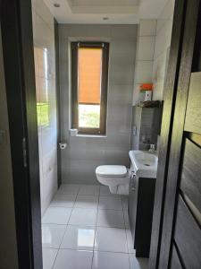 a small bathroom with a toilet and a sink at Dom z Milkowej Polany 