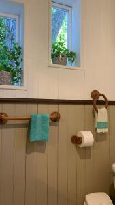 a bathroom with a toilet and two windows at Hospedaje en borde río in Valdivia