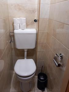 a bathroom with a white toilet and a shower at Középső szint in Zamárdi +5 photos