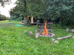Zahrada ubytování Tatra Glamp Mazury - sieć noclegowa Tatra Glamp