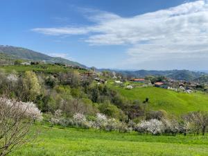 a green field with trees and houses on a hill at La Casetta in Costa in Marostica