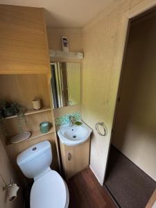 a small bathroom with a toilet and a sink at Moselle - 6 Squirrel View in Ballantrae