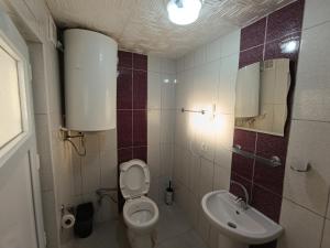 een kleine badkamer met toilet en wastafel bij Gelibolu Elisa Hotel in Gelibolu