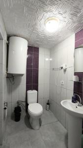 een badkamer met toilet en wastafel bij Gelibolu Elisa Hotel in Gelibolu