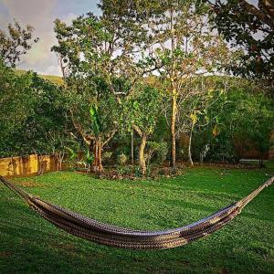 a hammock in the middle of a yard with trees at Secluded Riverfront Home - Boquete area with Pool in Bajo Boquete