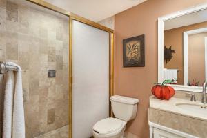 a bathroom with a toilet and a shower and a sink at Princesa De Penasco in Punta Penasco New