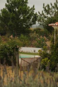 a view of a swimming pool in a garden at Quinta Amarela - B&B in Nazaré