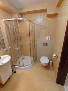 a bathroom with a shower and a toilet and a sink at apartamenty sarbinowo in Sarbinowo
