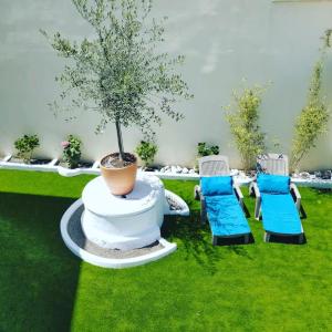 a tree sitting on top of a table with chairs at La Maison d'Alinès in Figueira da Foz