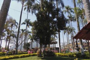 Κήπος έξω από το Plaza Real Hotel Boutique