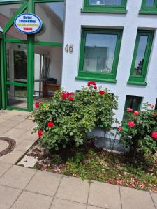 Zahrada ubytování Hotel Lindenthal