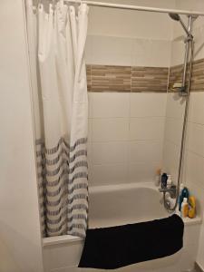 Ένα μπάνιο στο Appartement entier benesse maremne