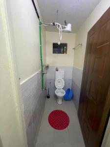a small bathroom with a toilet and a shower at Tausi Studio Greenspot in Ruiru