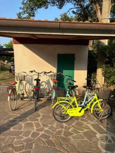 Jízda na kole v ubytování Villa Antonia nebo okolí