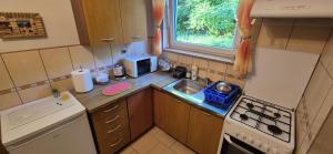 Kuchyňa alebo kuchynka v ubytovaní Apartamenty w Centrum - Zakopane