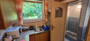 Kuchyňa alebo kuchynka v ubytovaní Apartamenty w Centrum - Zakopane