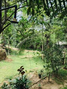 Giardino di Lake View Villa - Tangalle