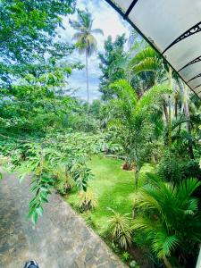 vista su un giardino con palme e erba di Lake View Villa - Tangalle a Tangalle