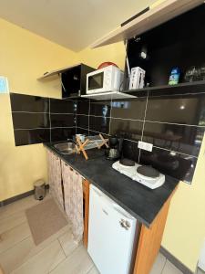 a kitchen with a counter top with a microwave at Lodge Mahury in Rémiré
