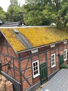 a building with a roof covered in moss at Badehaus Villa Fiedrichs in Ilmenau