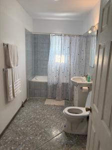 a bathroom with a toilet and a sink and a shower at Casa Armonia Costinesti in Schitul +20 photos