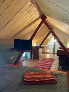 a room with a bed and a tv in a attic at Badehaus Villa Fiedrichs in Ilmenau