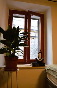 Fotografie z fotogalerie ubytování Apartment Antonio ve Splitu