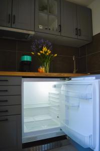 Kuchyň nebo kuchyňský kout v ubytování Apartment Antonio