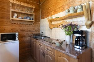 Kuchyňa alebo kuchynka v ubytovaní GÓRALSKI DOMEK z kominkiem - Highlander Wooden House