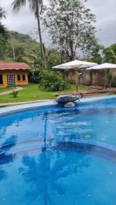 a large blue swimming pool with a house in the background at Cabañas la Granja Rincón de Guayabitos in Rincon de Guayabitos