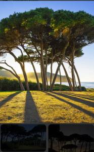 Paisaje cerca de este apartamento