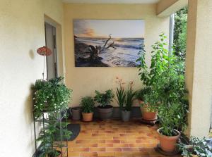 a patio with potted plants and a painting on the wall at Ferienwohnung Central in Rostock +6 photos