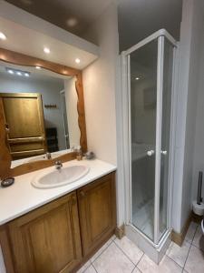 Koupelna v ubytování Chalet avec sauna et proximité pistes ski sur PRAZ SUR ARLY
