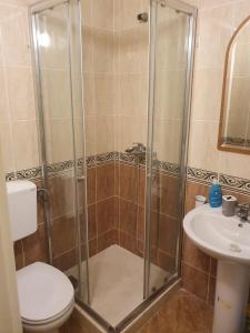 a bathroom with a shower and a toilet and a sink at Apartman Elena Budva in Budva