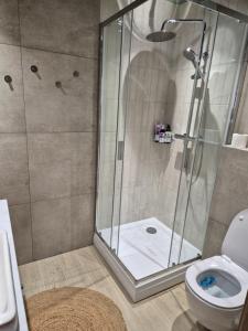 ein Badezimmer mit Dusche und Toilette in der Unterkunft Apartament Morska Harmonia in Ustka