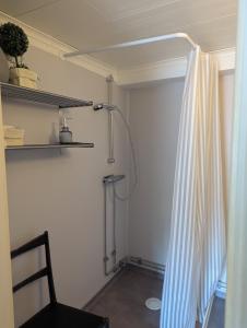 a room with a closet with a shower curtain at Sergel B&B Lindshammar in Lindshammar