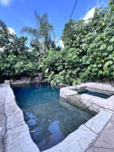 a pool of water in a garden with trees at Amazing 5 bedroom, 1/2 Mile To Disneyland 1/4 mile to Anaheim Convention Ctr in Anaheim