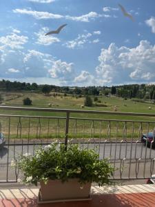 Táj az apartman közelében