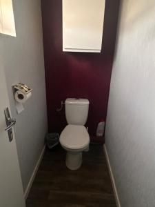 Elle comprend une petite salle de bains pourvue de toilettes et d'une fenêtre. dans l'établissement Maison calmer & confort, au Mans 5 autres photos