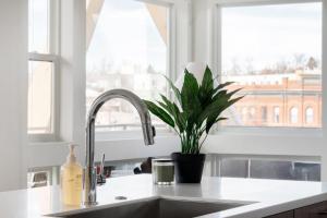 a kitchen sink with a potted plant and a window at Serenity in Style | Espadin LoHi in Denver