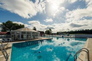 una gran piscina con patos en el agua en First Floor East Family Deluxe, en North East