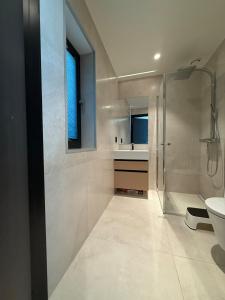 a bathroom with a shower and a sink and a toilet at Villa Vaaganeset in Lii