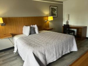 Una habitación de hotel con una cama grande y un escritorio. en Go2 Inn & Suites By Relianse - San Antonio, TX, en San Antonio