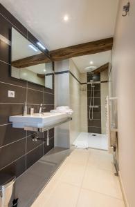 een badkamer met een wastafel en een douche bij Le Logis D'Azé in Azé