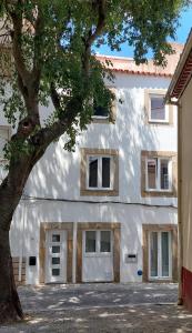 un edificio bianco con un albero di fronte di Casa das Olarias a Castelo Branco