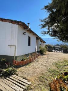 a white building with plants in front of it at Tafi del Valle Hostel in Tafí del Valle