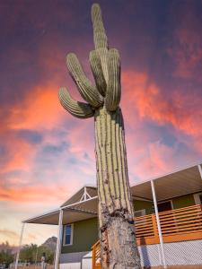 Imagine din galeria proprietății Old Whitmer Place Apache Junction în Apache Junction