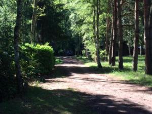 Peisaj natural din apropierea acestei case de vacanță