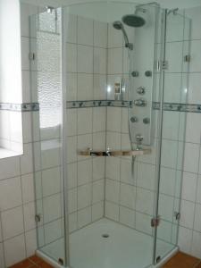 a shower with a glass door in a bathroom at Das Romantische Landhaus in Kropp